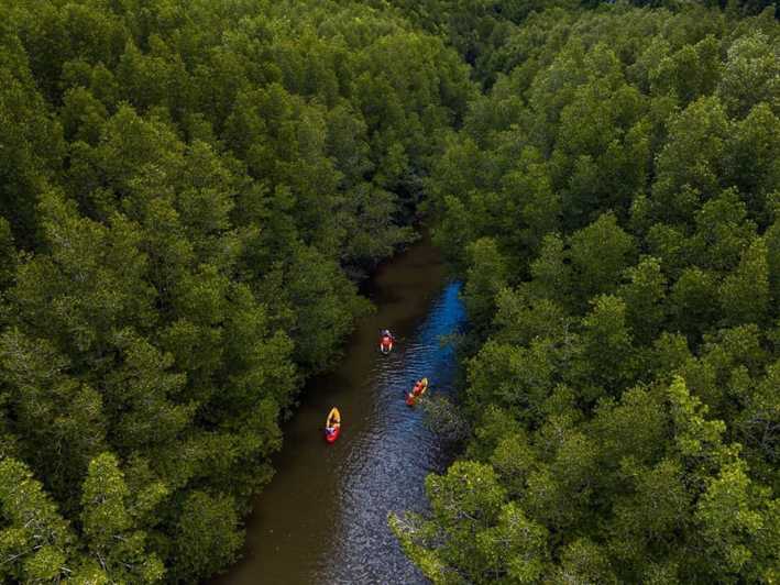 Ko Libong: Tam Gün Mağarası, Chao Khun Chao Mai Mağarası'nda Kayaking